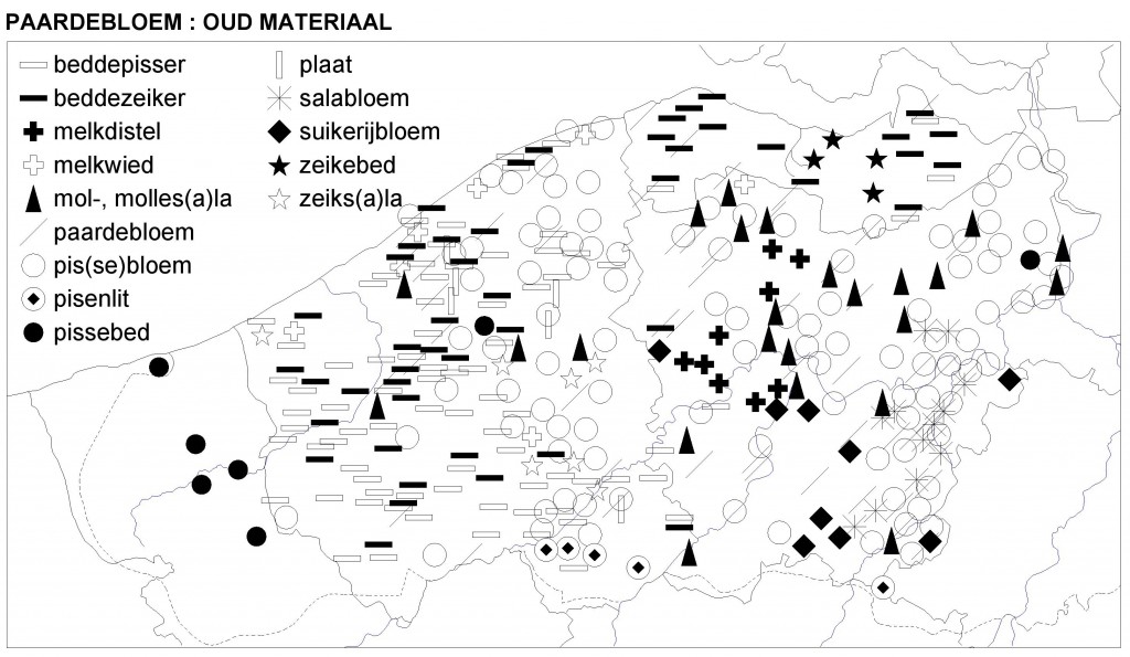 paardebloem oud